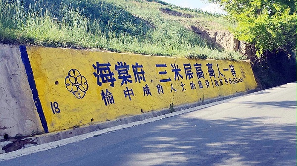 海棠府榆中地区（手绘）墙体广告精选照片近景3