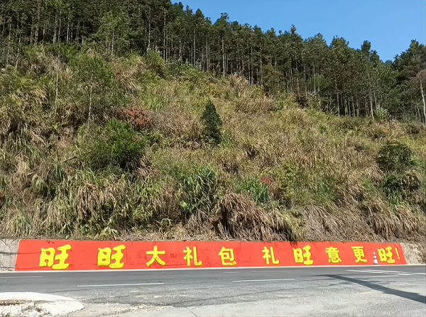 旺旺 (2)