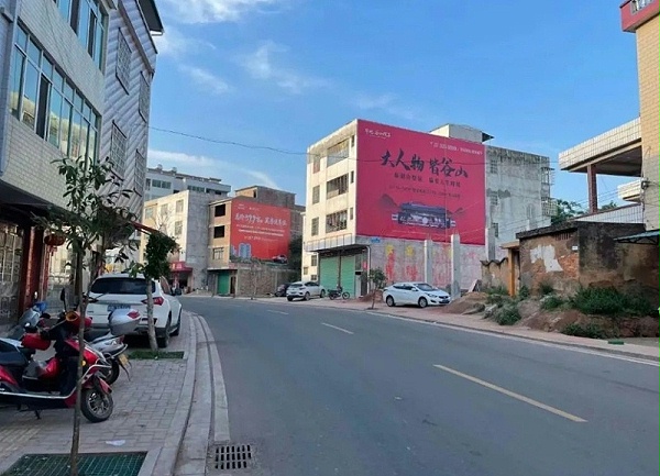 广东墙体广告 (47)