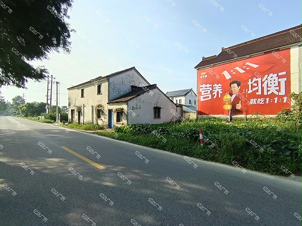 金龙鱼 (4)