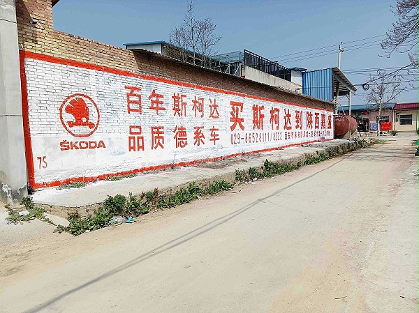 斯柯达汽车山西、陕西地区（手绘）墙体广告精选照片近景3